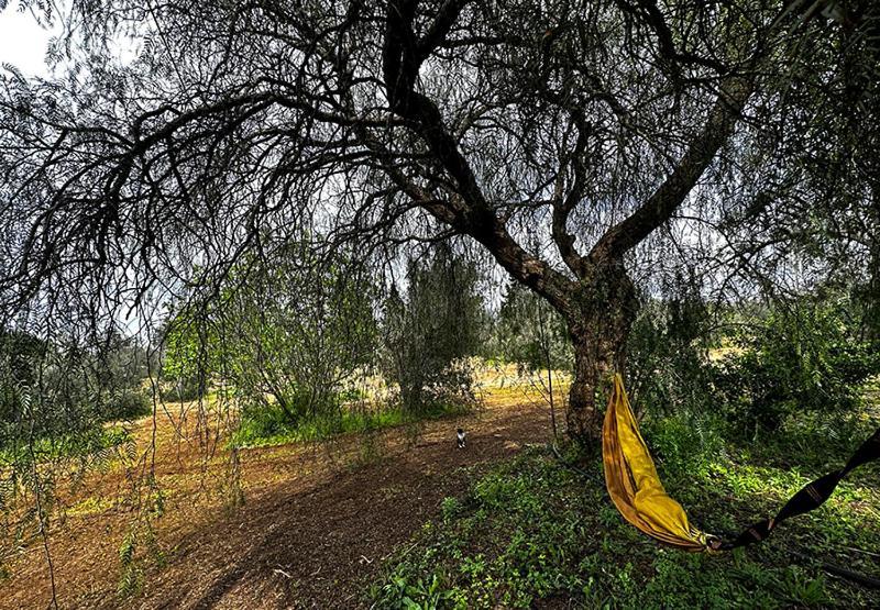 Salento Home Farm Bagnolo del Salento Extérieur photo